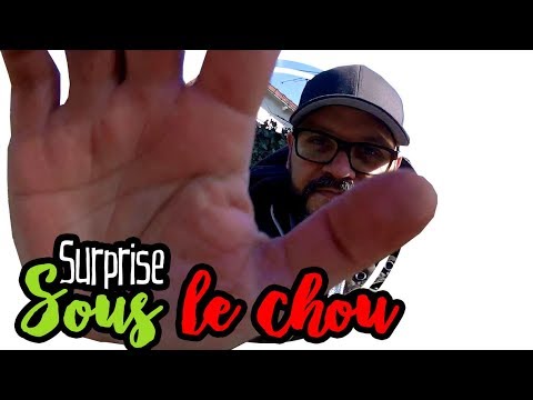 🌿 Visite et une surprise sous le chou