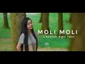 Moli moli thiyam nongalei  assam official release new manipuri music  2018