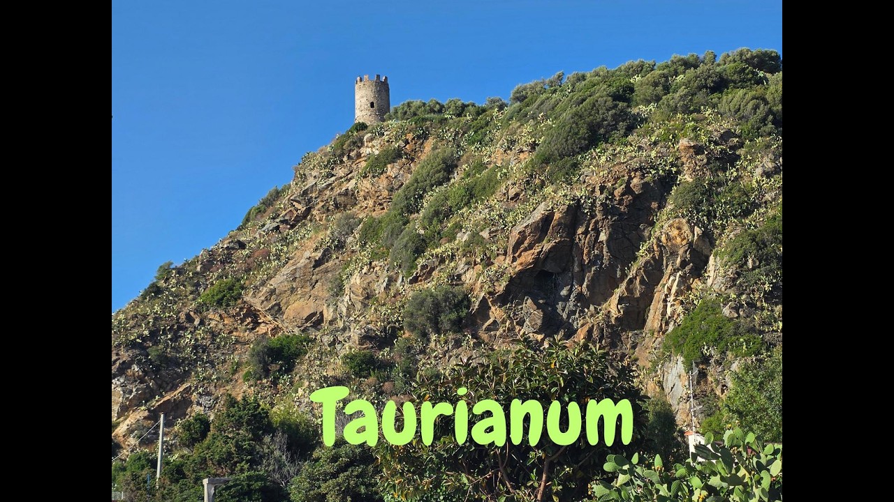 Taurianum