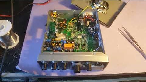 Video Alan QUARANTOTTO di Vito di Forlì - Accomodato -