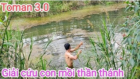 Câu cá lóc_Tìm đến những điểm mới cực đẹp và cái kết @Hữunghị tv