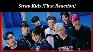 Stray Kids - MANIAC [MV] (Reaction) | First Time