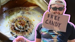 Making Cotton Candy with an Angle Grinder
Can you? Yes. Should you? Ehhhhhhh.....
Camera: http://amzn.to/2vamSSH
Lens: http://amzn.to/2v8JapD
Wireless Mic: http://amzn.to/2ueF2FA
Support us on Patreon: https://www.patreon.com/williamosman
Website: http://www.williamosman.com/
Facebook: https://www.facebook.com/williamosmanscience/
InstaHam: https://www.instagram.com/crabsandscience/
CameraManJohn: http://www.johnwillner.com/
Filming and by CameraManJohn: http://www.johnwillner.com/
Thanks to:
Cedric Bosch
Erin Lauterbach
Luke and Leo Khanlian
Will Bales and company I forgot your names sorryyyyy
Special Thanks to Hubbards Handmade for asking to be in the credits. Making Cotton Candy with an Angle Grinder