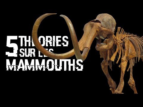 Vidéo: La Tragédie Cachée Par Le Temps, Ou Pourquoi Les Mammouths Sont Morts - Vue Alternative