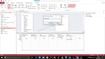 Access: prompt a user for a value in a query. Method 1.