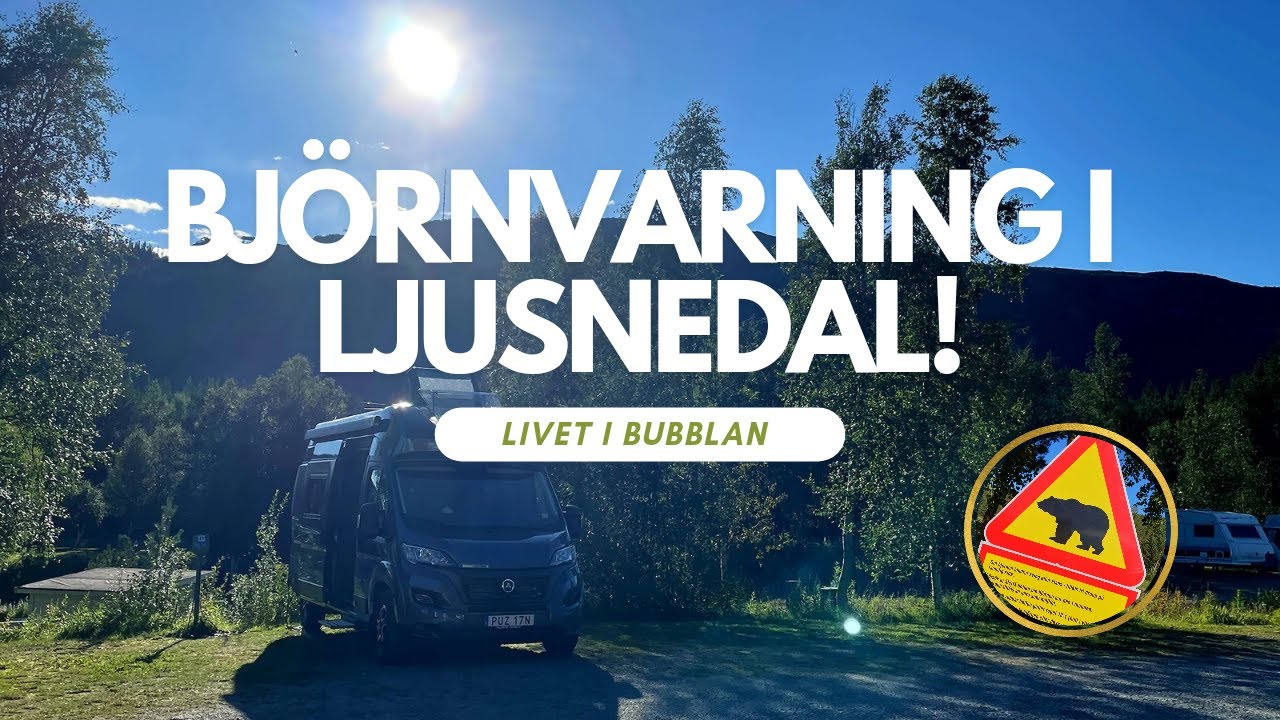 Björnvarning i Funäsdalen/Härjedalen, och svar från Affinity.
