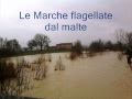 Maltempo nelle  Marche "le solite polemiche"