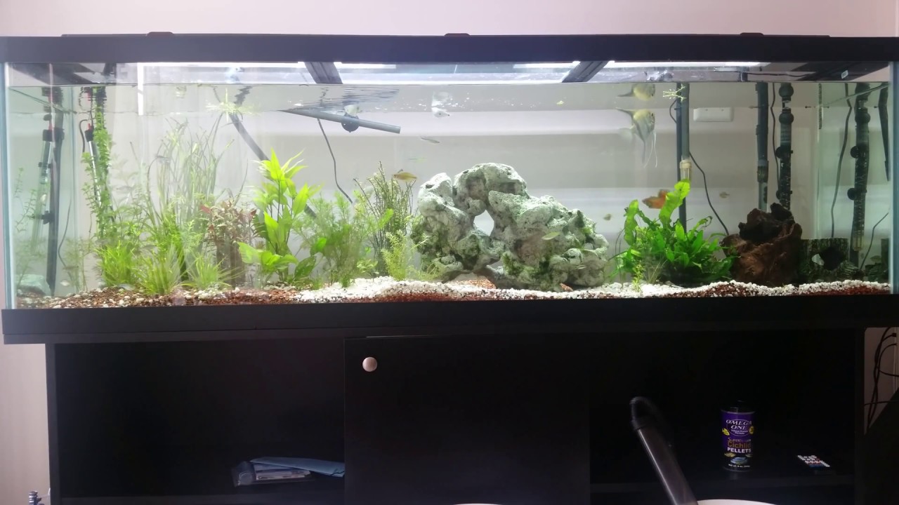 New 125 Gallon Aquarium