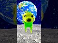 dog dance 🩰