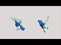 Central Dogma & Origin of the Ribosome