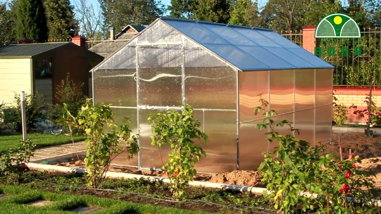 Kasvuhoone DELTA/ Теплица Дельта / Greenhouse delta YouTube