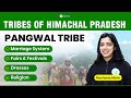Tribes of himachal pradesh  pangwal tribe of himachal  famous himachal tribes  himachal gk  hpas