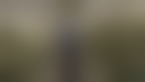 Solar Cannabis Co. Moves Flower from Harvest to Shelf Faster with the LightLab Cannabis Analyzer