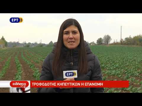 Βίντεο: Συνθήκες καλλιέργειας Verbena