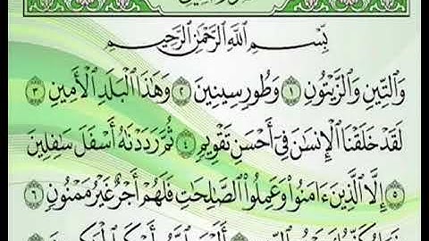 سورة التين  وديع اليمني جميل جداً
