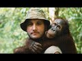 The conservation story of the orangutans  leif cocks the orangutan project