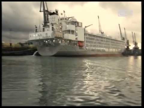 ზღვის დაბინძურებისთვის გემი დააჯარიმეს