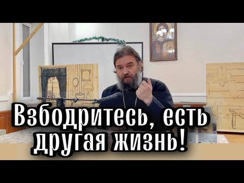 Христианство без соли это не Христианство. Отец Андрей Ткачёв