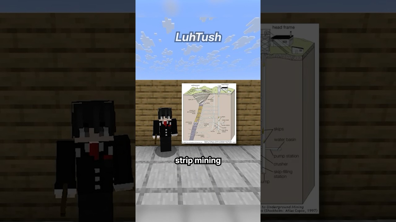 Minecraft Mining Types
