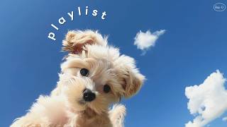 Playlist 🎈 Feel-Good Pop Songs for Work | Heart-fluttering Vibes 🌷 | Cafe · Work Music | HayG screenshot 4