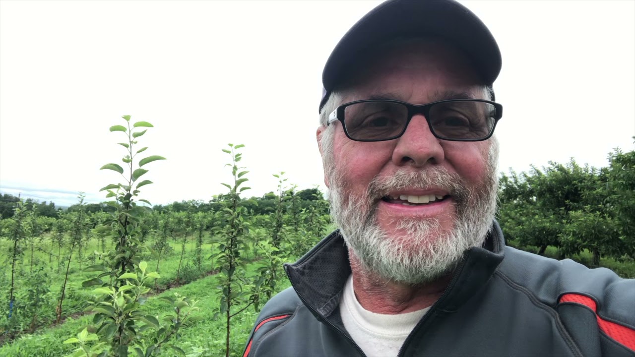 NOTCHING promotes branching on 