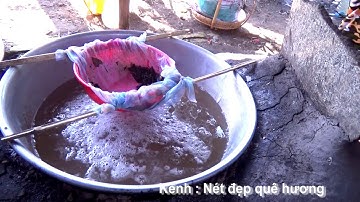 Vào rừng khám phá trại đường thốt nốt của bà con Phnom Pi, Châu Lăng, Tri Tôn, An Giang 23/11/2020