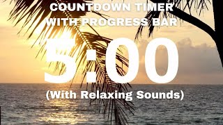 5 MINUTE TIMER WITH PROGRESS BAR | RELAXING MUSIC (PALM TREES)