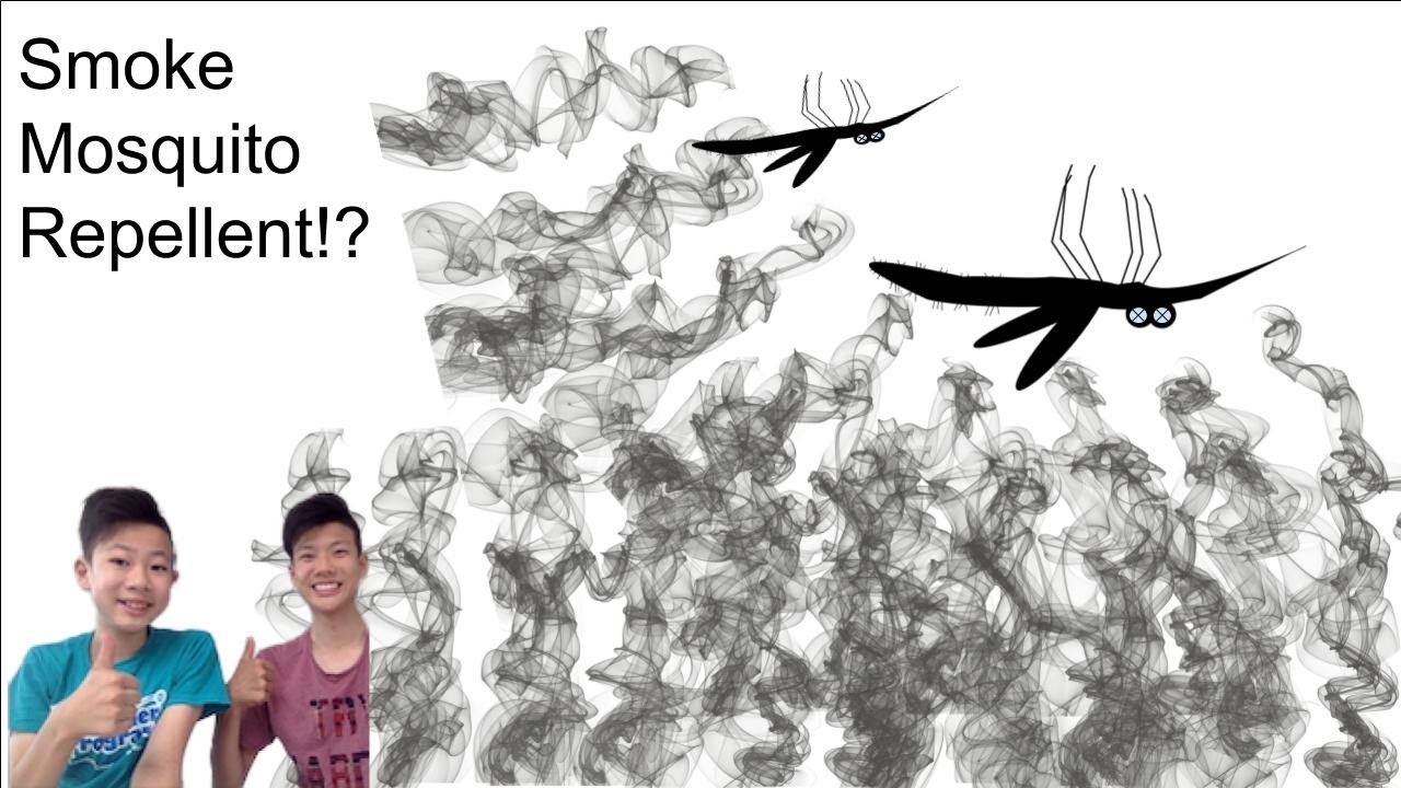 Repel Mosquitoes with Lavender SMOKE!?? Japanese Stuff 5 PepprSoda