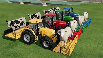 MASSEY FERGUSON WITH COLORS!! COWS AND SHEEP