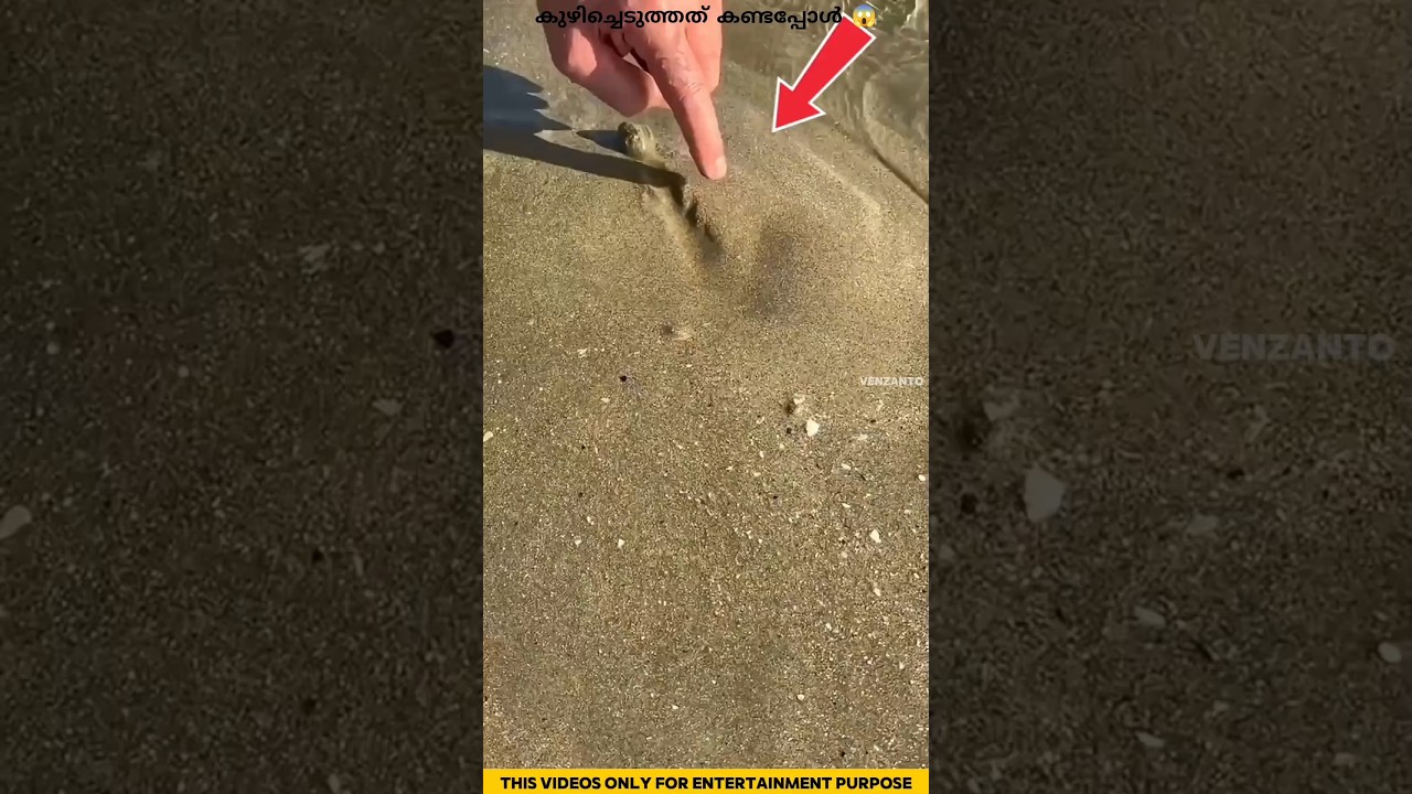 മണ്ണിൽ എന്തോ ഒരു ജീവി ഇരിക്കുന്നു 😱 