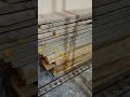Brick 24677#brick #viral #trending #vedioviral #bricks