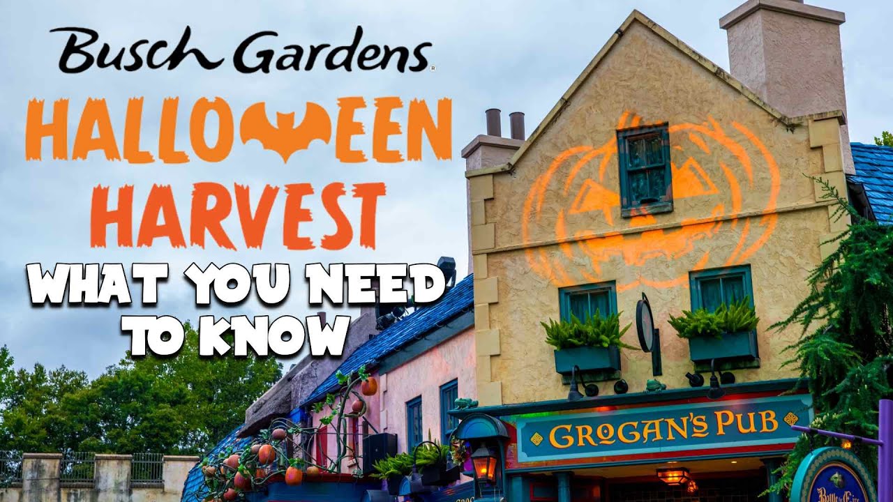 Busch Gardens Williamsburg Halloween Harvest 2020 Everything You Need to Know! YouTube