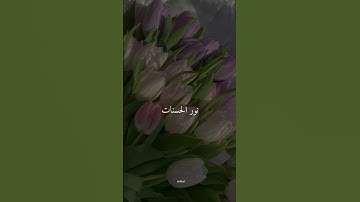 فضل قراءة سورة الكهف يوم الجمعة