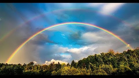 05.03 Mechansitic Explanation – Beyond Networks: The Evolution of Living Systems