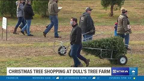 Christmas tree shopping at Dull