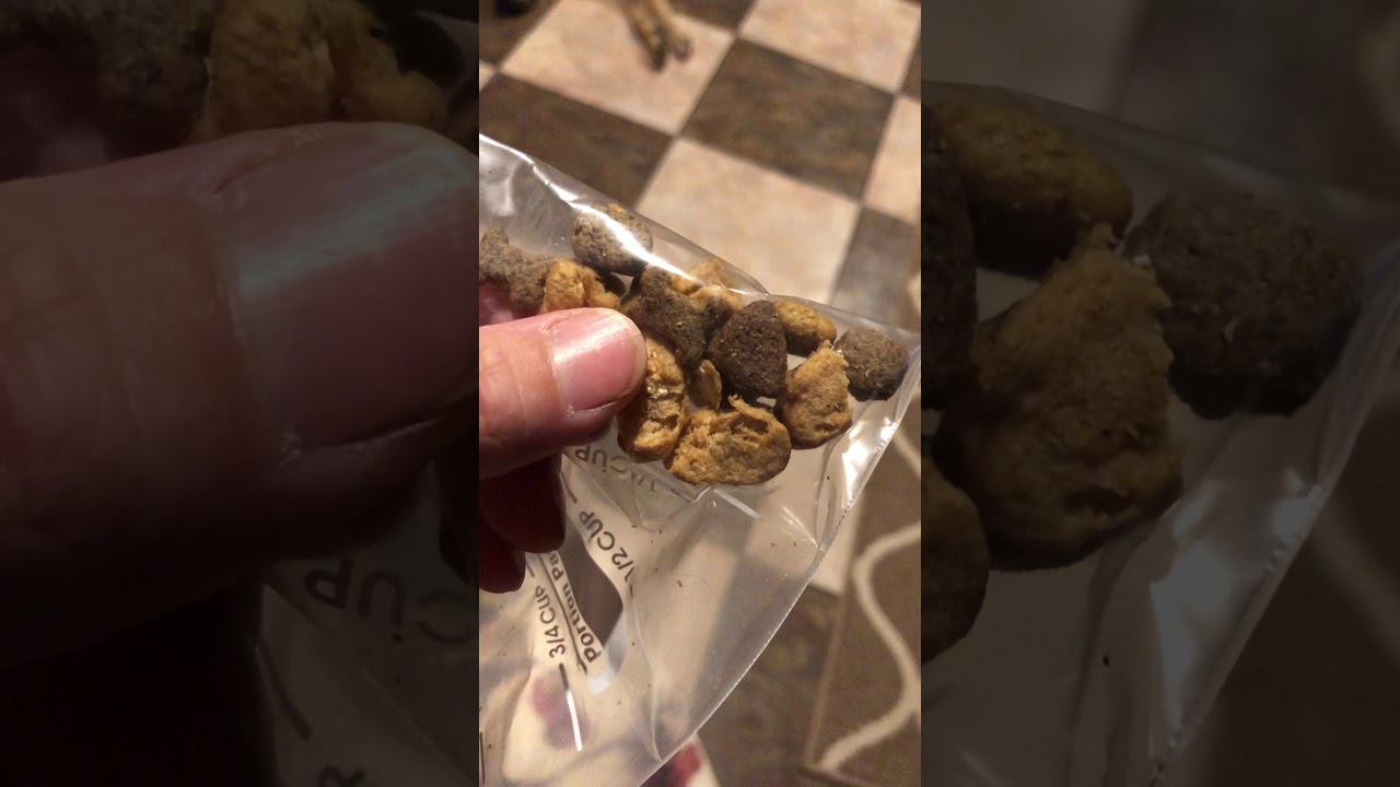 Worms š in my Purina ONE SmartBlend Dog food Chicken & Rice formula