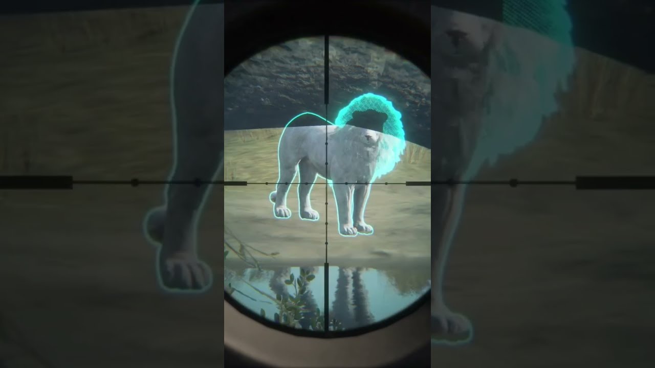 Lion Max Weight Cotw