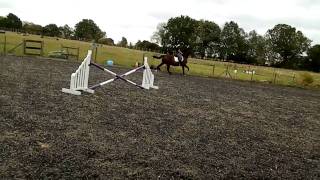 Sarah And Annabelle Jumping Romeo And Boyzie