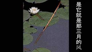齐豫  三月的风