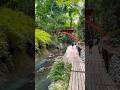 圧倒的な深緑の楽園。川のせせらぎと湧水に漂う凛とした神気に触れ、自分自身の五感と生命力を最大限に再起動する。 The Breath of Nature: Reclaiming your focus.