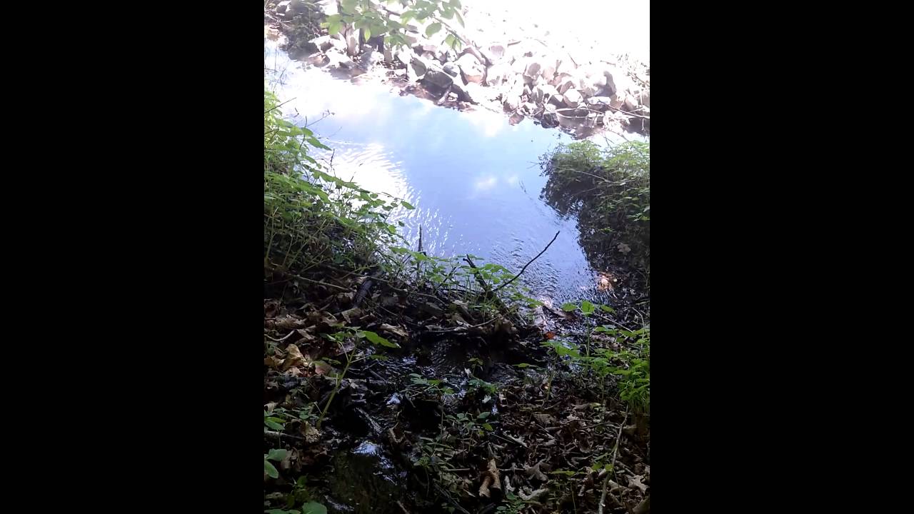 Terrain Preview: What You're dealing at the Black Dragon Ninjitsu Camp