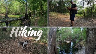 Withlacoochee River Park Dade City Florida | Hiking Towards the River AFT 2024🔥🆙 #trevdevadventures