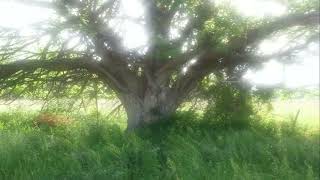 *free!* think about life type beat