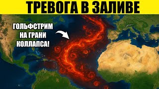 видео: ТРЕВОГА 2025: Гольфстрим подаёт признаки коллапса картинка: ТРЕВОГА 2025: Гольфстрим подаёт признаки коллапса