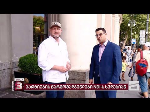 ოპოზიციური პარტიები NDI-ის სადამკვირვებლო მისიას შეხვდნენ