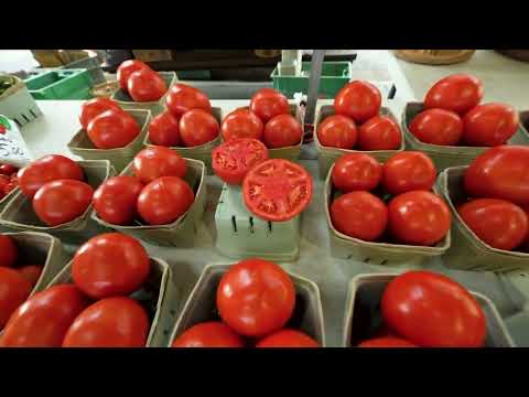 Vídeo: Farmers' Markets a Minneapolis i St. Paul