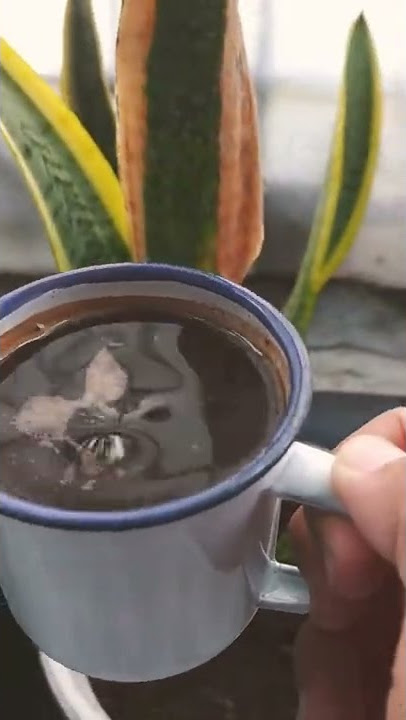 Story Wa Ngopi, Kamis 9 Juni 2022