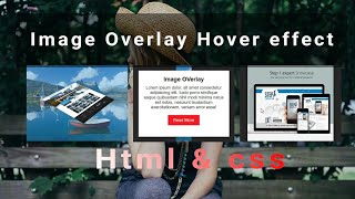 How to create image overlay | CSS image Overlay hover effect | web development tutorial
