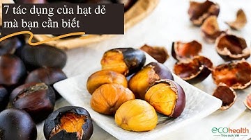 7 tác dụng của hạt dẻ mà bạn cần biết