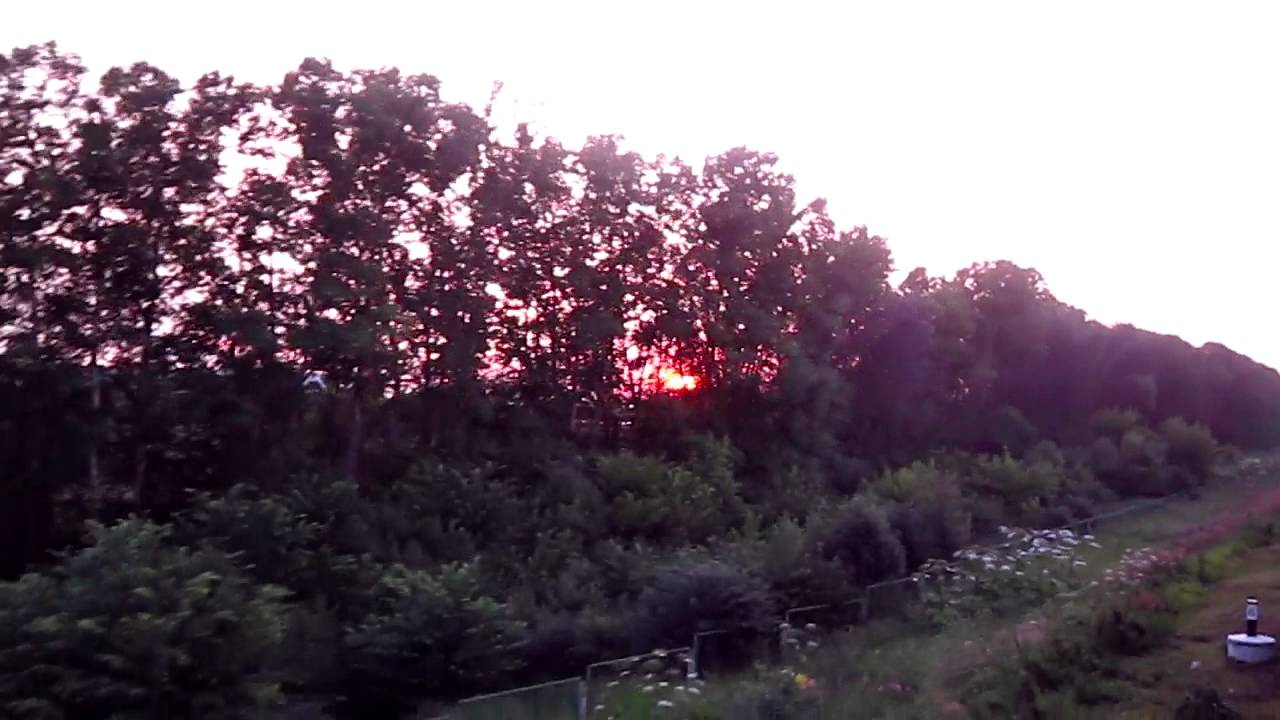 Виктор Пелевин - Желтая стрела - YouTube